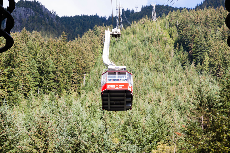 Illustration for article titled Pics from the (Mountain)side: 2016-10-10 at Grouse Mountain